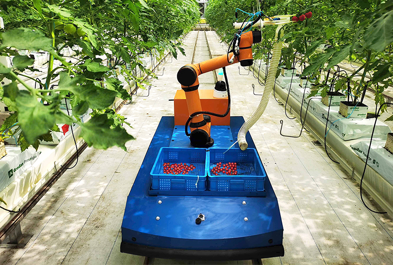 番茄粒采機器人.jpg