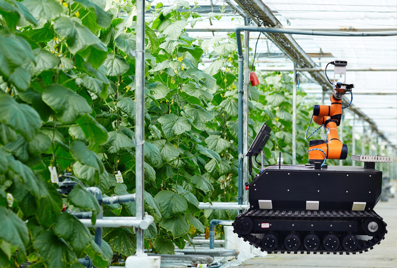 履帶采摘機(jī)器人.jpg